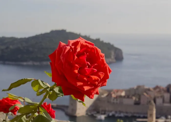 Apartman Teo Dubrovnik